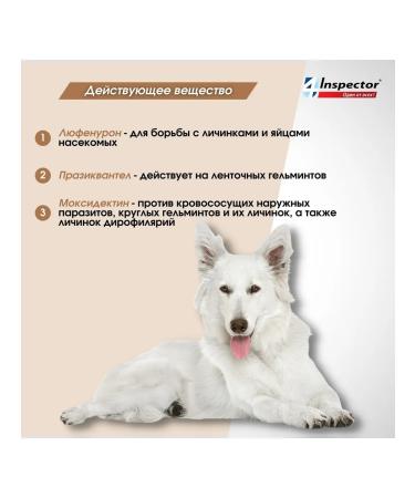 Neoterica Quadro tablets from fleas and ticks for dogs from 16 kg 4 tab - Buy Online on GoSupps.com