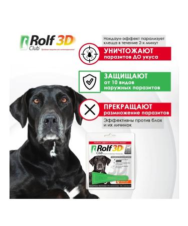 Neoterica Drops for dogs 40 - 60 kg from fleas and ticks 1 pipette 4 ml - Buy Online on GoSupps.com