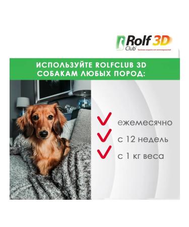 Neoterica Drops for dogs up to 4 kg from fleas and ticks 3 pipettes - Buy Online on GoSupps.com