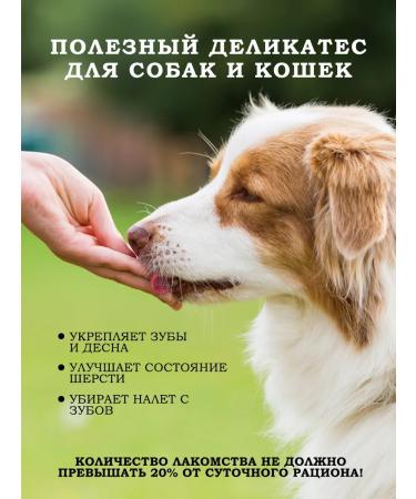 Light beef treat for dogs 100 grams - Buy Online on GoSupps.com