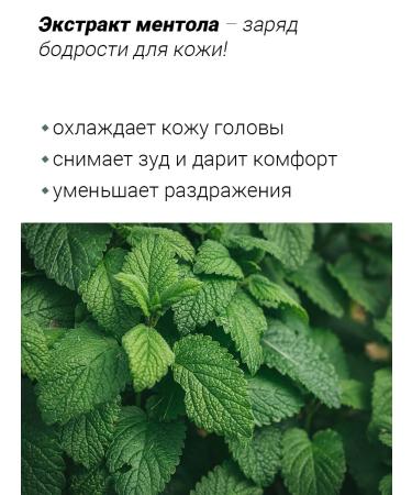 MASIL Cleaning lotion for the scalp 4pcs*15ml - Buy Online on GoSupps.com