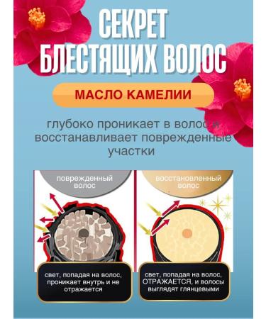 TSUBAKI Shampoo and hair air conditioner Cool & Repair set - Buy Online on GoSupps.com