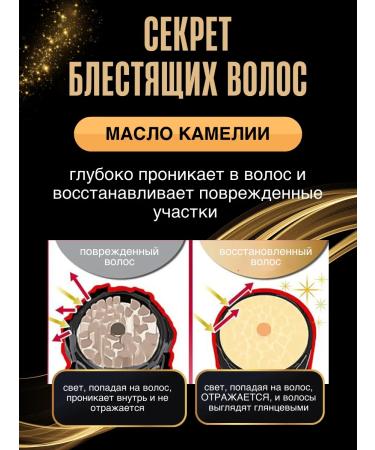 TSUBAKI Shampoo and hair air conditioner Premium ex set - Buy Online on GoSupps.com