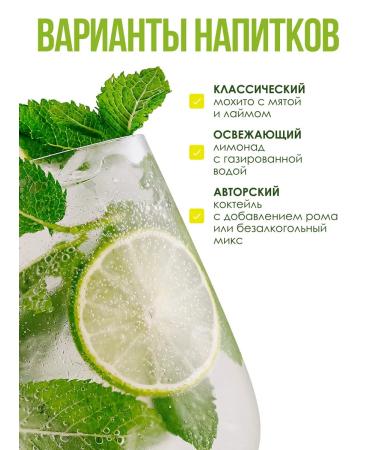 Mojito 1kg concentrate for non -alcoholic drinks - Buy Online on GoSupps.com