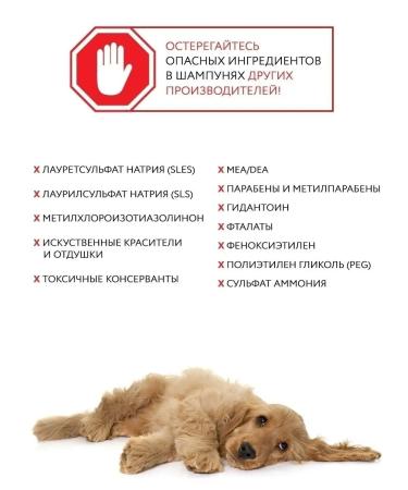 ECOZAVR Hypoallergenic eco soap+shampoo for dogs 1000 ml - Buy Online on GoSupps.com