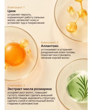 TAKACHIE Professional shampoo with zinc and rosemary Takache - Buy Online on GoSupps.com