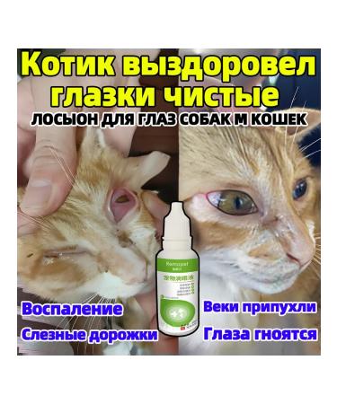 Purulent eye inflammation in animals 20 ml