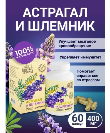 Add Altai Astragal and helmet