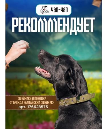 Altai Meat Processing Plant Beef dogs with beef light large pieces - Buy Online on GoSupps.com