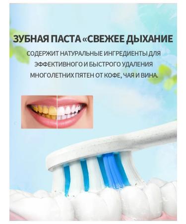 SP-4 for teeth to bleach - Buy Online on GoSupps.com