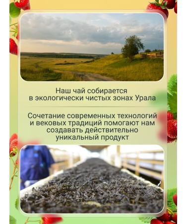 Kasper Tea Ivan-tea set with lingonberries blackberries strawberries 50 g - Buy Online on GoSupps.com