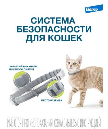 Elanco Forest collar 38 cm for cats up to 8 kg from fleas and ticks - Buy Online on GoSupps.com