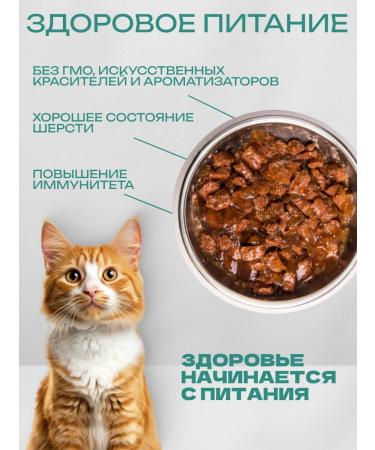 PRO PLAN Delicat (ocean. Fish in sauce) 85 g x 26 pcs - Buy Online on GoSupps.com