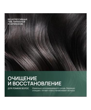 Beauty-Pentaur Shampoo purification and recovery 410 ml - Buy Online on GoSupps.com