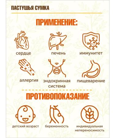 STAROSLAV Shepherd's bag (grass 50 g.) - Buy Online on GoSupps.com