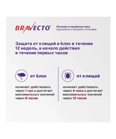 bravecto 250 mg pill for dogs 4.5 -10 kg - Buy Online on GoSupps.com