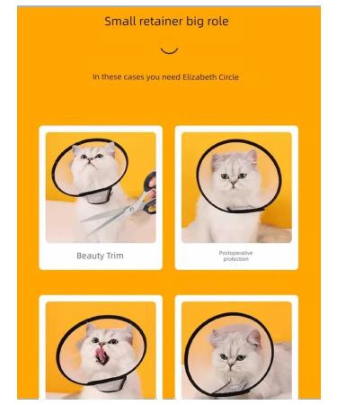 Protective headdress (Elizabeth Round) - Buy Online on GoSupps.com