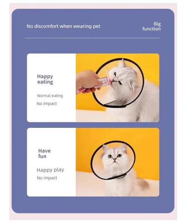 Protective headdress (Elizabeth Round) - Buy Online on GoSupps.com