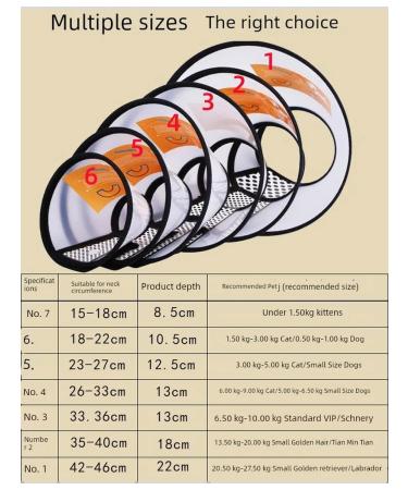 Protective headdress (Elizabeth Round) - Buy Online on GoSupps.com