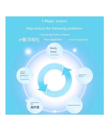 Powder for the stomach and intestines (50 g - for dogs and cats) - Buy Online on GoSupps.com