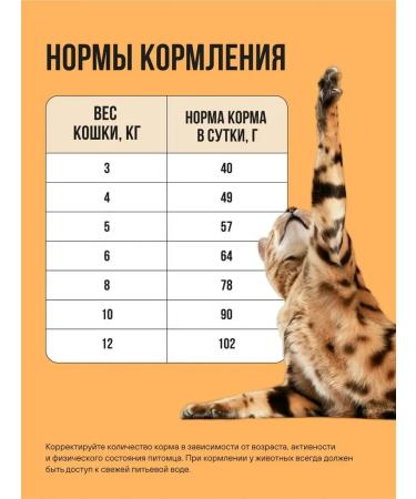 BOWL WOW Dry food for cats with sensitive digestion 1.5 kg - Buy Online on GoSupps.com