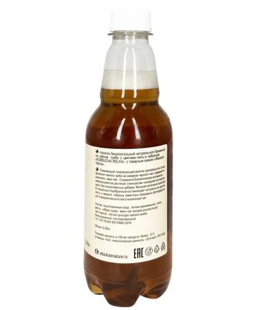 Absolute Nature Combuche Relax - tea mushroom with linden and thyme 3pcs *0.350l - Buy Online on GoSupps.com