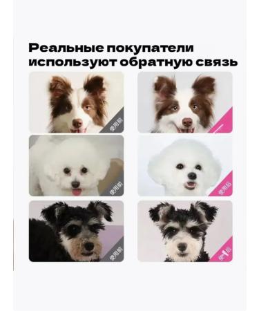 Cleansing foam-shampoo for dogs and cats without washing - Buy Online on GoSupps.com