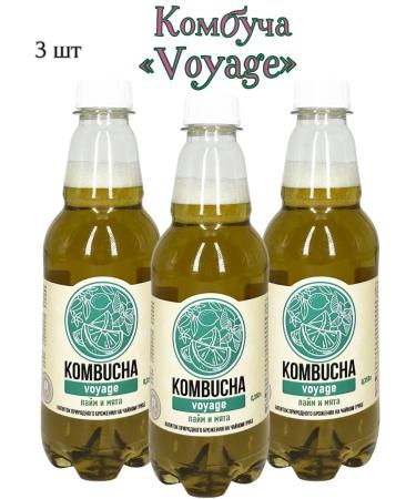Absolute Nature Kombucha "Voyage"-a nursery mushroom with lime juice and mint 3sh*0.350l