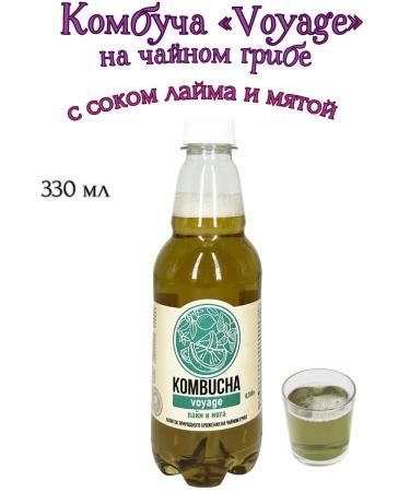 Absolute Nature Kombucha "Voyage"-a nursery mushroom with lime juice and mint 3sh*0.350l - Buy Online on GoSupps.com