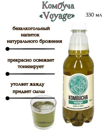 Absolute Nature Kombucha "Voyage"-a nursery mushroom with lime juice and mint 3sh*0.350l - Buy Online on GoSupps.com
