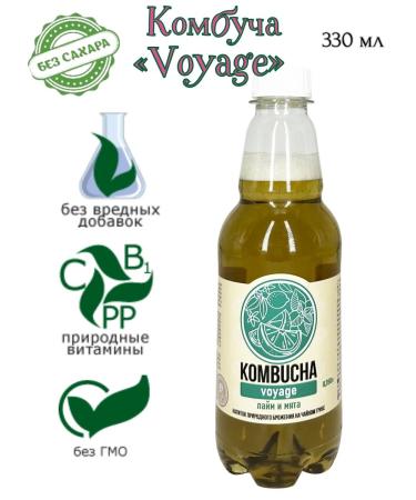 Absolute Nature Kombucha "Voyage"-a nursery mushroom with lime juice and mint 3sh*0.350l - Buy Online on GoSupps.com