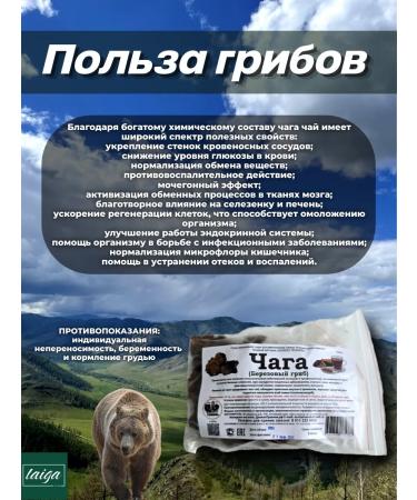 Chaga birch mushroom 2pcs - Buy Online on GoSupps.com