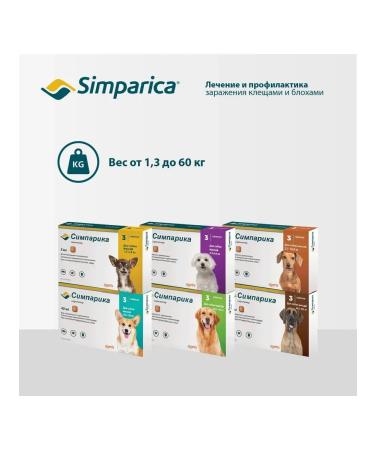 Zoetis Simeparika 80mg tick tablets and fleas for dogs 20-40 kg - Buy Online on GoSupps.com