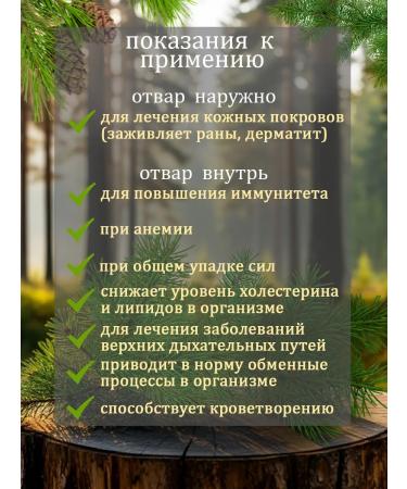 Narsan Tea House Pine pollen 40 g - Buy Online on GoSupps.com