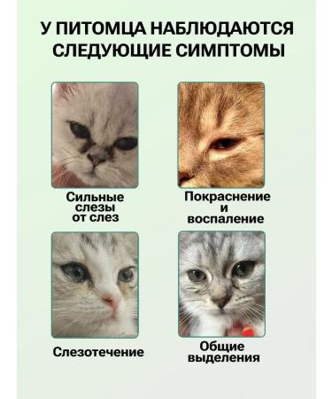 Eye drops for cats 180 ml - Buy Online on GoSupps.com