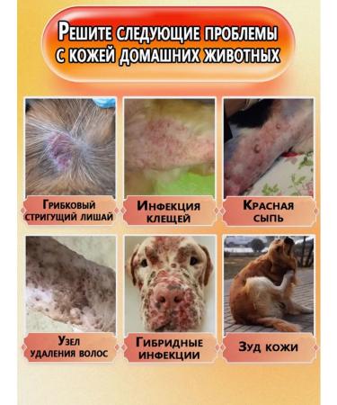 Spray from itching for cats and dogs 300ml - Buy Online on GoSupps.com