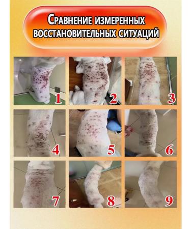 Spray from itching for cats and dogs 300ml - Buy Online on GoSupps.com