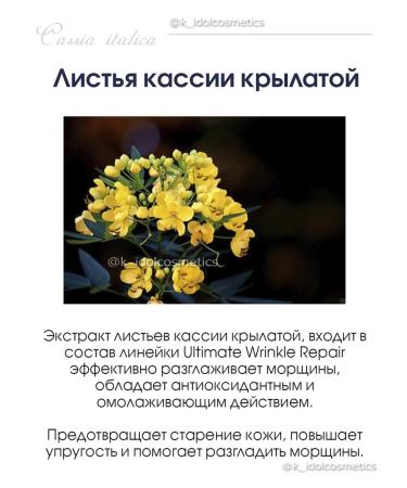 ReNK Anti -aging toner (SoftNner) for the face against wrinkles - Buy Online on GoSupps.com