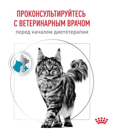 ROYAL CANIN Dry food for cats hypoallergenic Hypoallergenic 2 kg - Buy Online on GoSupps.com