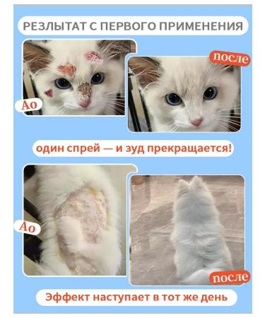 Spray from itching for cats 100 ml - Buy Online on GoSupps.com