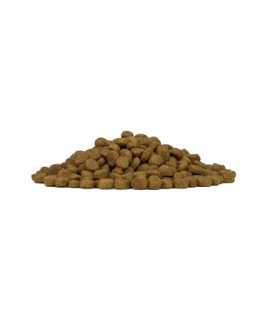 Forza10 Dry food for dogs Diet venison 1.5 kg - Buy Online on GoSupps.com