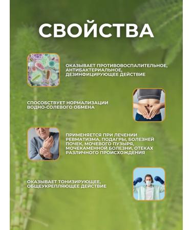 Altai Horsetail concentrate in capsules - Buy Online on GoSupps.com