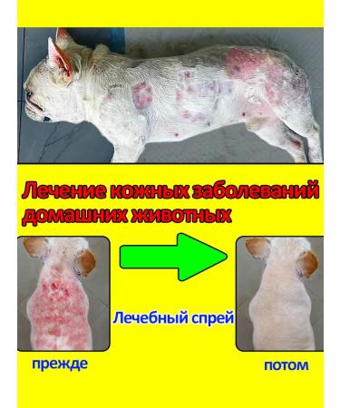 Spray from itching and depriving for cats and dogs