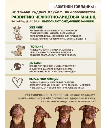 FUNNYU Treats of beef slicing for dogs - Buy Online on GoSupps.com