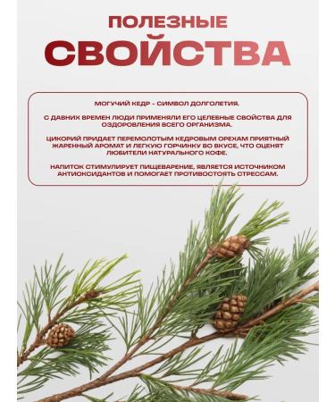 bee lab Strong coffee with chicory 2 pcs. 200 gr - Buy Online on GoSupps.com