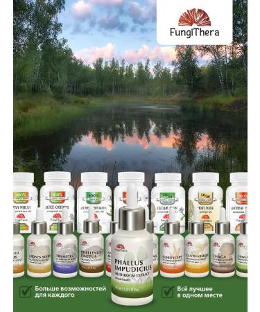 FungiThera Fungus extract of merry 50 ml - Buy Online on GoSupps.com