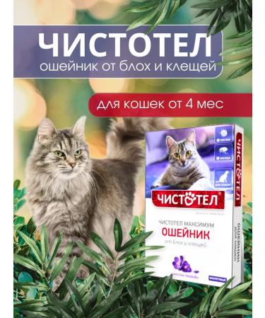 Celandine Belch collar from fleas and ticks