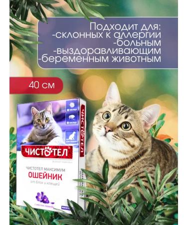 Celandine Belch collar from fleas and ticks - Buy Online on GoSupps.com