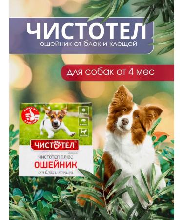 Celandine A collar from fleas and ticks for dogs house