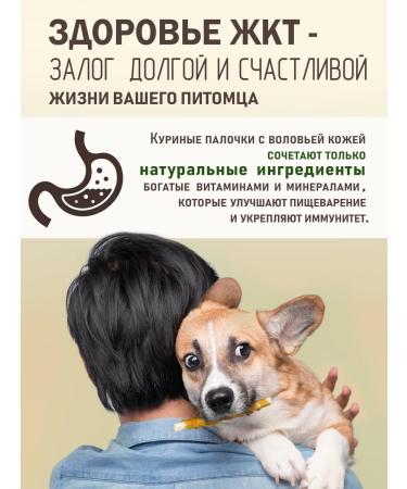 FUNNYU Chicken sticks for teeth in dogs - Buy Online on GoSupps.com